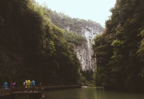 photo-1585000765810-a2d83a85e821