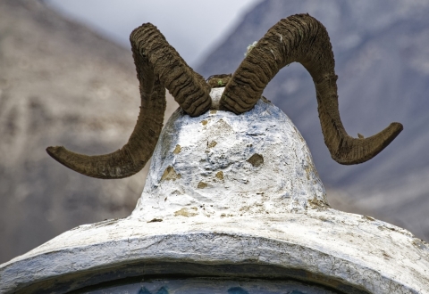 tajikistan-4598523_1280