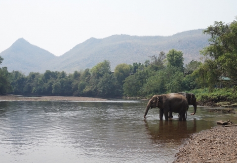 thailand-997410_1280