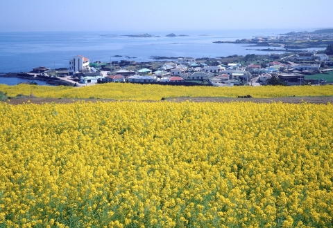 republic-of-korea-5131925_1280