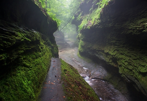 photo-1562449018-dbd965c84612