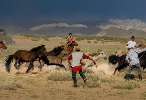 pxhere.com_en_photo_363445