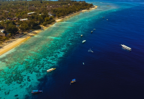 tandya-rachmat-jGxbwrgss28-unsplash