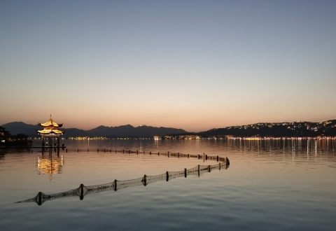 photo-1584409503180-d1391f62b5b5