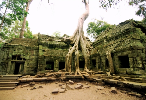 Ta Prohm