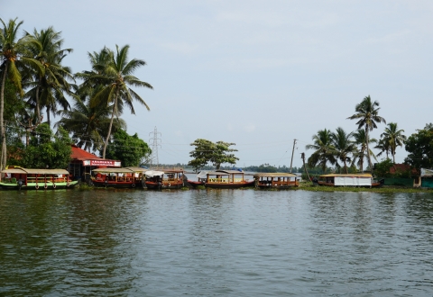 DSC04131