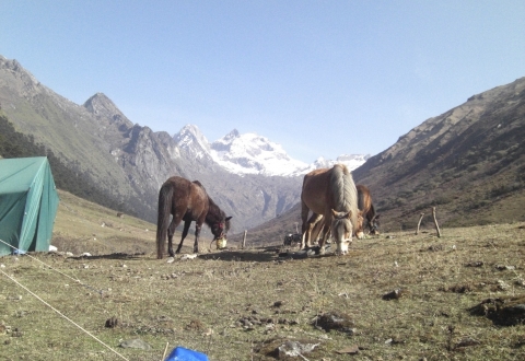 trekking_in_bhutan