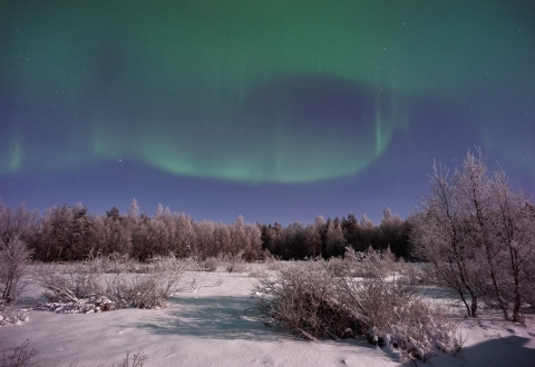 Kemi- Auroras -US