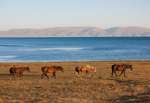 SON-KUL LAKE_KRYGYSZTAN_daniele-nabissi-NDcjI_x2tZ0-unsplash
