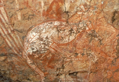 kakadu-national-park-695129_1280
