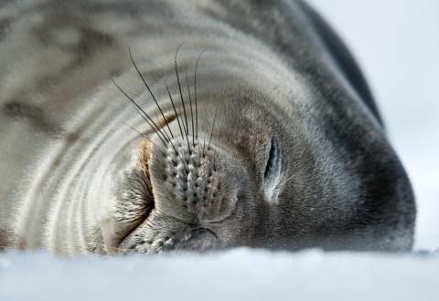 f931165c25c5065bb75b9a2c0f5dc55d