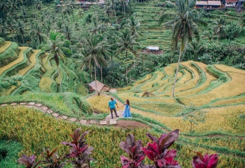 photo-1513573886499-acb58df12c89