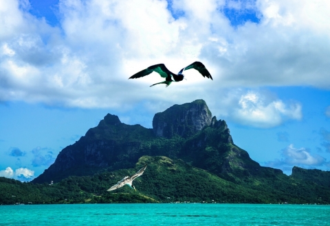 bora-bora-701840_1280