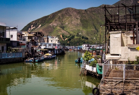 photo-1549167006-d7f89e4751a5