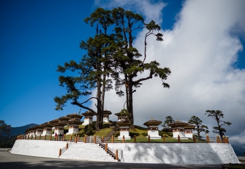 photo-1608318674417-e88ce99d388c