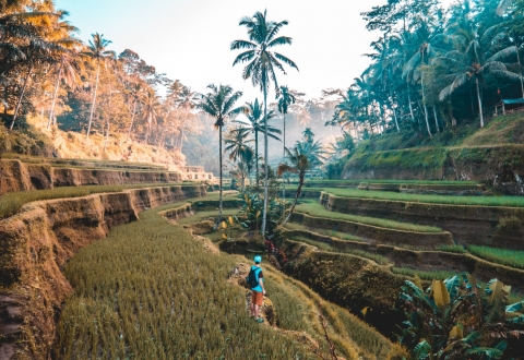 photo-1496531693211-31c5234a5ea9