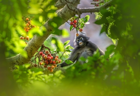 Ao Nang, Mueang Krabi District, Krabi, Thailand_erik-karits-X9PVchBYveI-unsplash