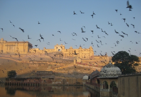 jaipur-1317152_1280
