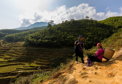 sapa