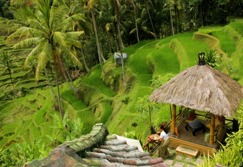 riceterrace_in_ubud1