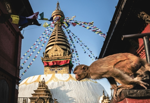 michael-starkie-dGeQmCNsrsg-unsplash