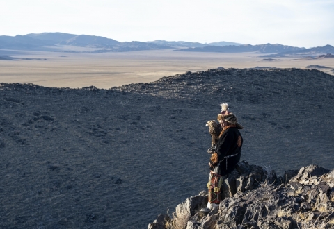 photo-1547371012-b629e5c2a23a