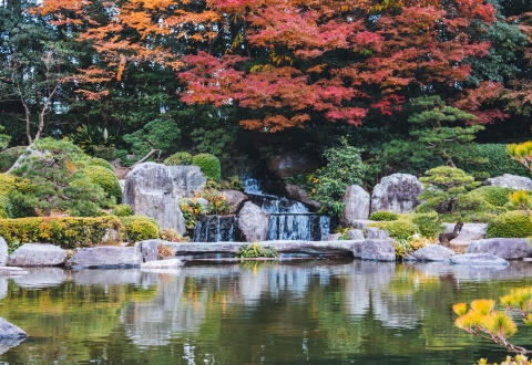 photo-1575862924838-c166e3814df7