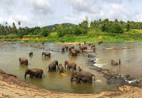 sri lanka_photo-1533484482814-3fe2d922be89