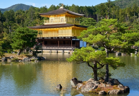 photo-1571331507171-96adbcfaace5