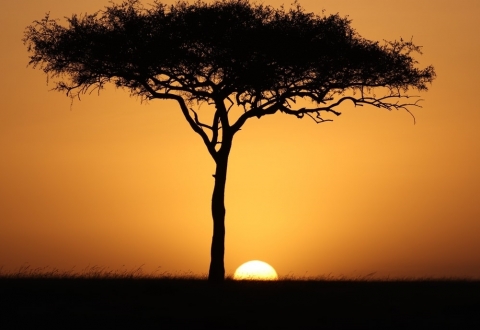 photo-1551802230-22c087b11df2